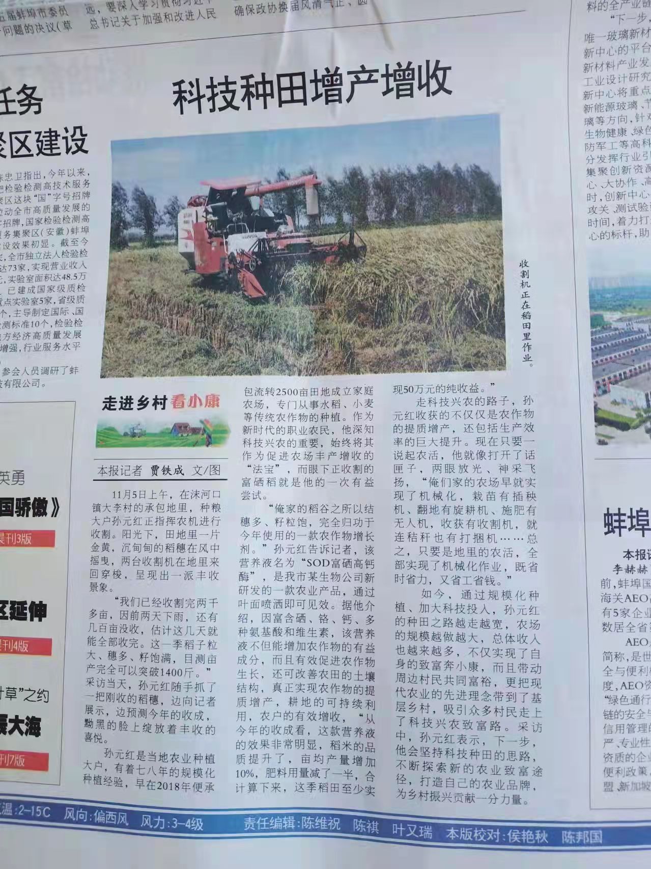 蚌埠日報2