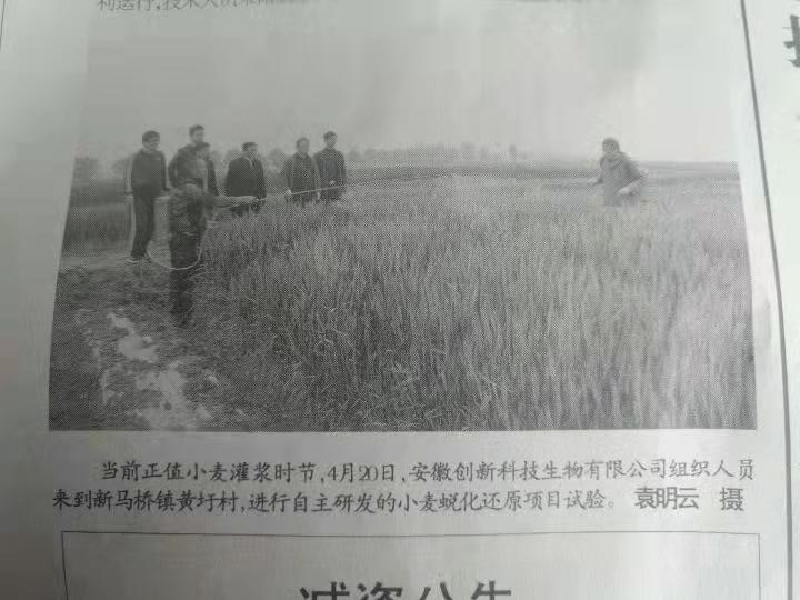 報紙2